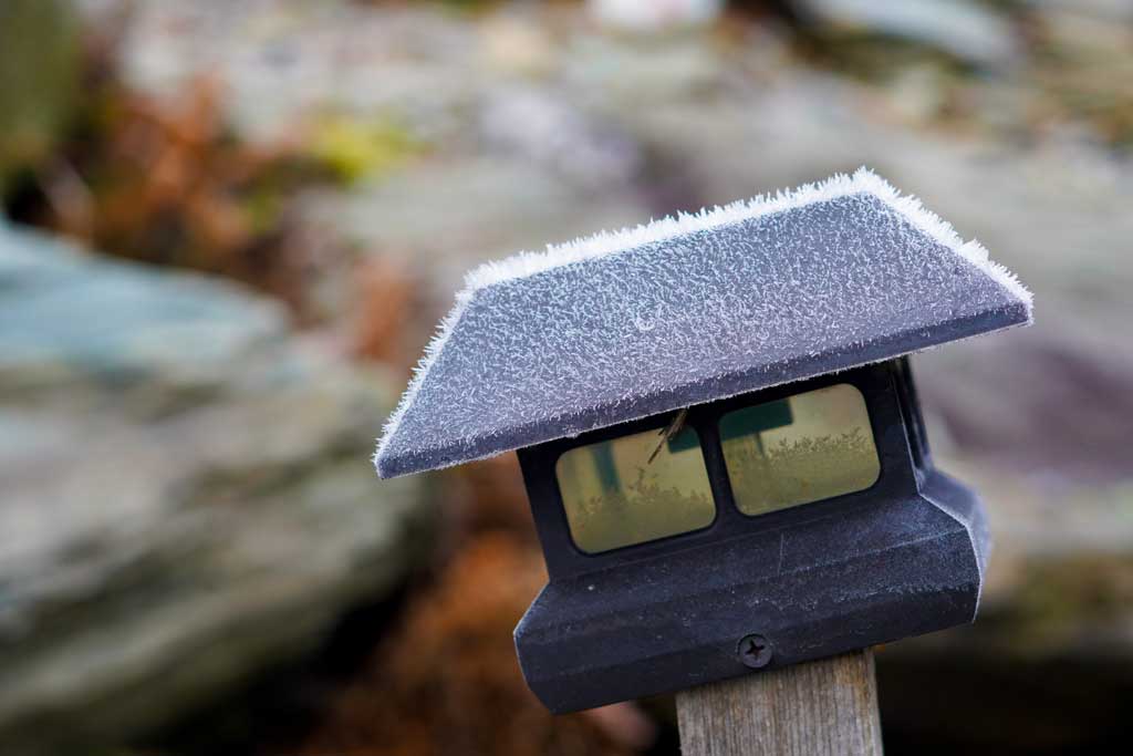 Image of a solar light with frost on it